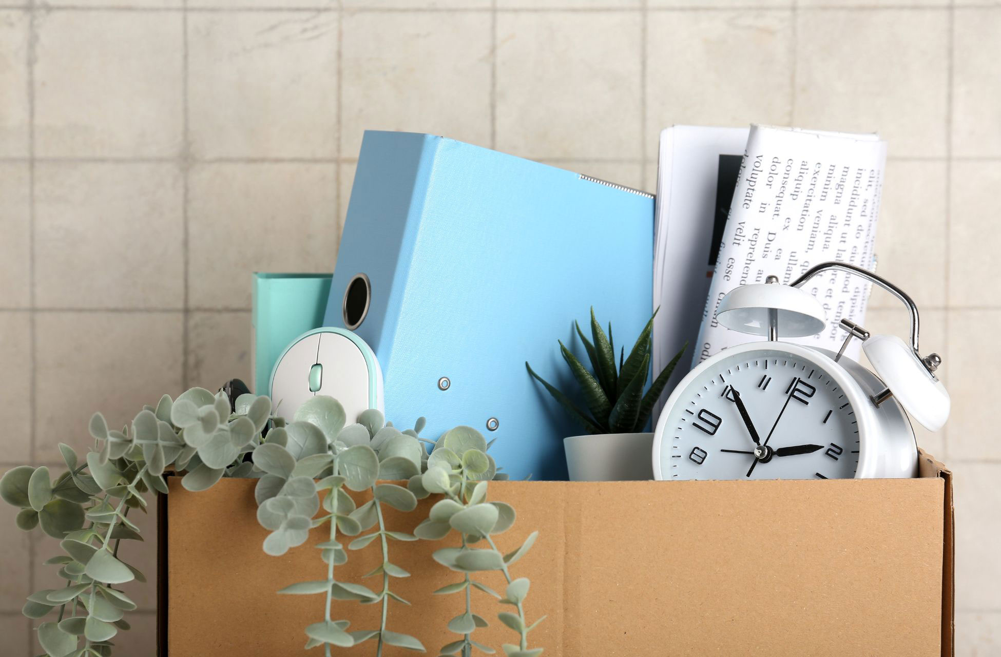 SA Movz Office, Corporate and Business Relocations