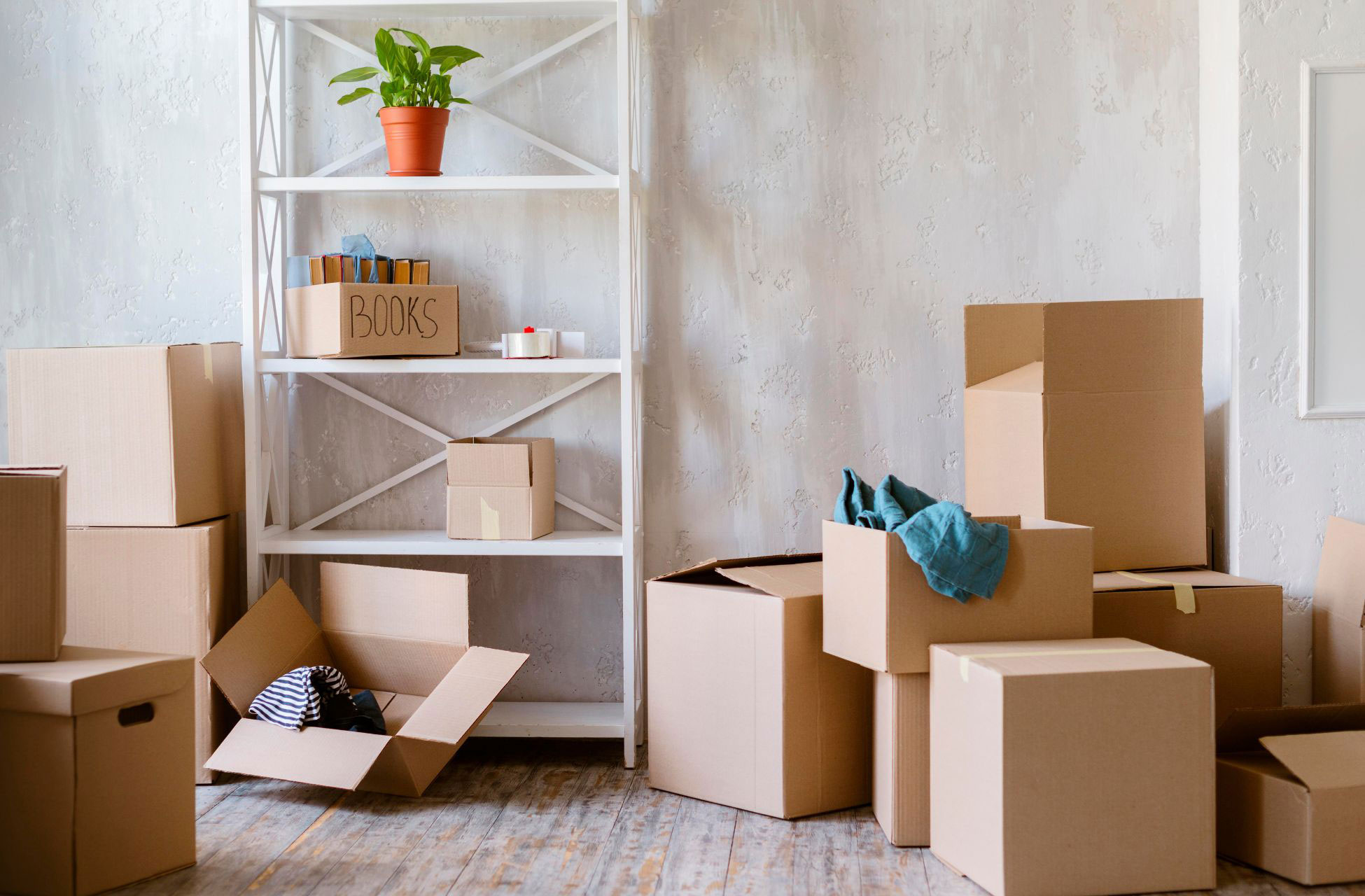SA Movz Packaging and packing services for a seemless move